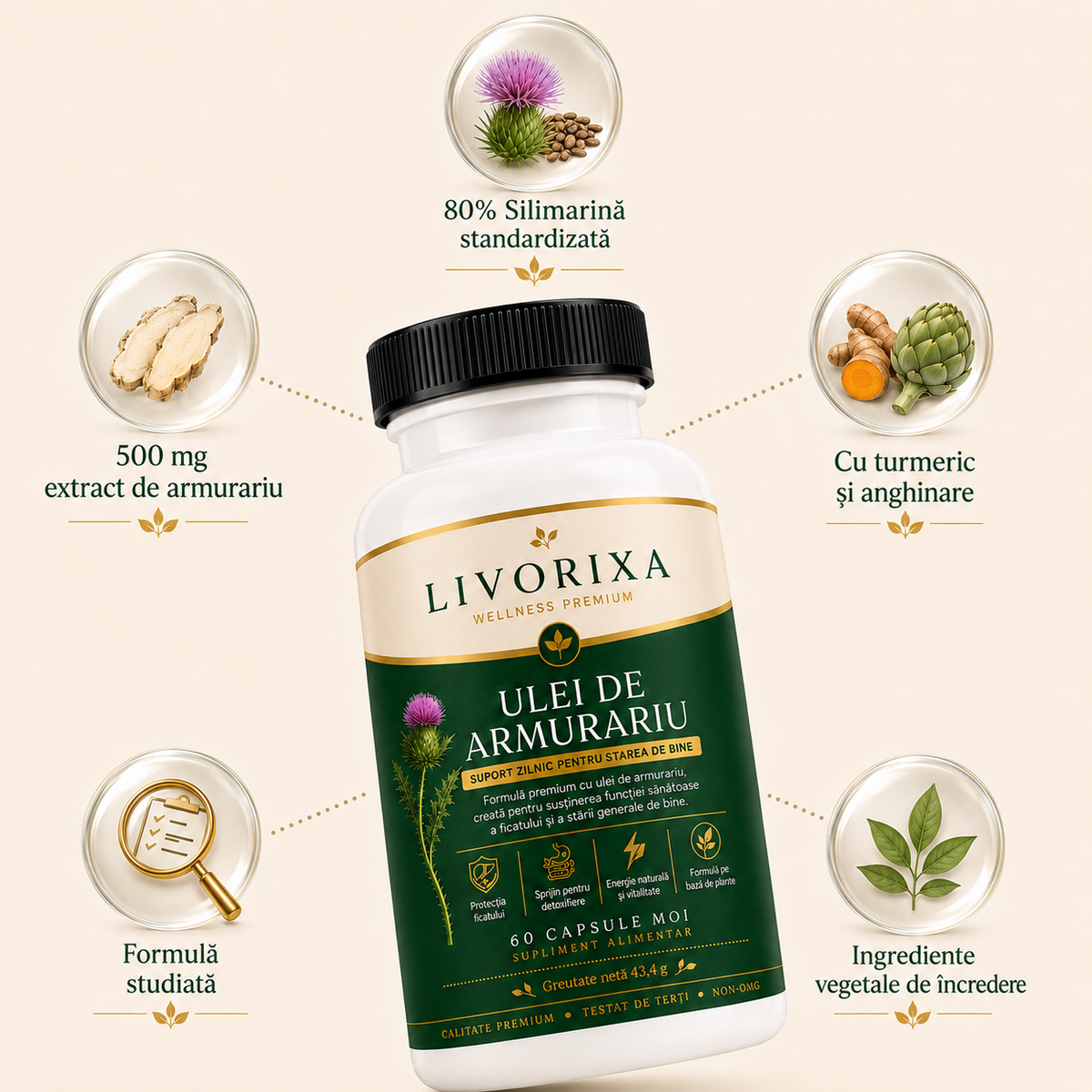 Livorixa